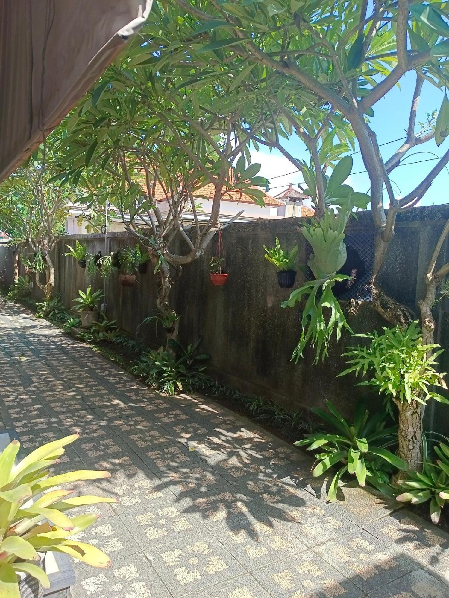 Taman Bali Homestay Sanur Buitenkant foto